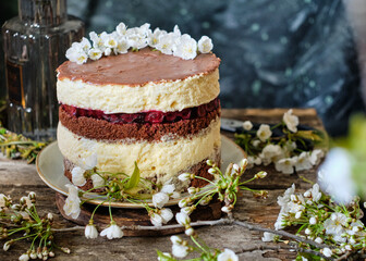 Cake pigeon's milk. Sponge cake and tender soufflé, creamy mousse. Garnished with milk chocolate and peanut. Side view, wooden background and coffee.