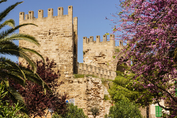 puerta de Mallorca - puerta de Sant Sebastia-, muralla medieval, siglo XIV, Alcudia,Mallorca, islas...
