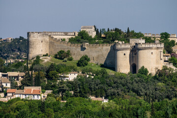 Fototapeta na wymiar fuerte de Saint andre,siglo XIV,Avignon,Francia, Europa