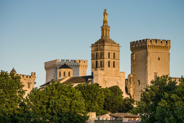 Obraz premium Palacio de los Papas, gotico medieval,Avignon,Francia, Europa