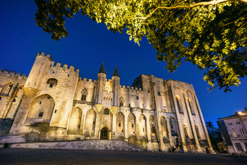 Palacio de los Papas, gotico medieval,Avignon,Francia, Europa