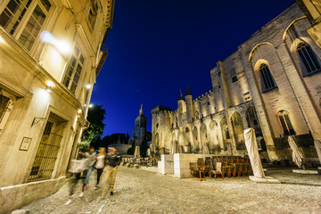 Palacio de los Papas, gotico medieval,Avignon,Francia, Europa