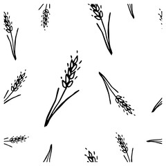 Pattern of wheat spikelets on a white background.