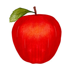 Watercolor red apple isolated on white