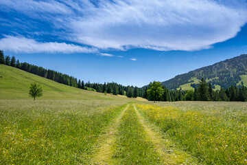 Panoramic view over fresh green farmland in Bavarian alps