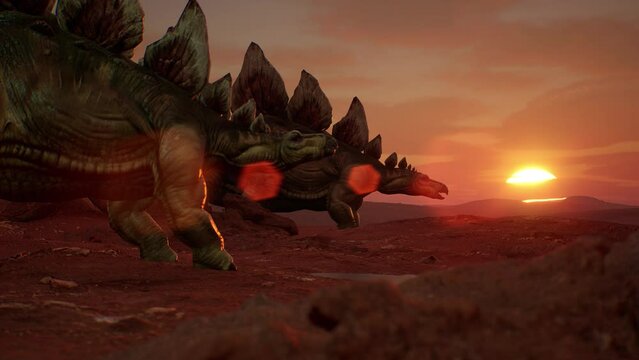 Stegosaurus Rests Evening Landscape with Sunset Jurassic Era 3D Animation Rendering 4K