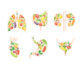 Healthy Human Internal Organs with Anatomical Lungs, Stomach, Kidneys, Bladder and Heart with Fruit and Vegetables Vector Set