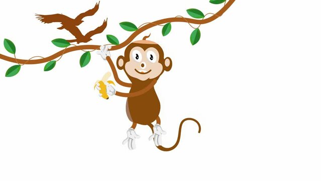 monkey hanging on the vine