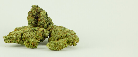 medical marijuana cannabis plant 