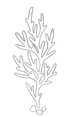 Black and white graphic art illustration of a sea coral and stones. Idea for colouring books, icon, logo  or children art 