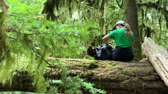 Girl in hike. Traveler in mountain forest Teenage girl in green shirt Sitting on fallen tree She takes bottle of water from her backpack and drinks. MacMillan Provincial Park canada vancouver island 