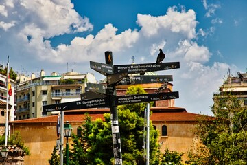 Fototapeta premium Vogel auf einem Wegweiser, Griechenland 