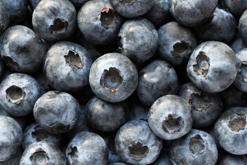 Heap of resh ripe great bilberry. View form above