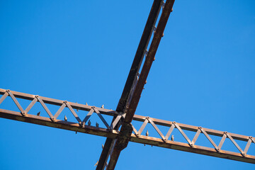 steel bridge construction with birds