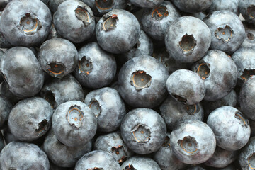Heap of resh ripe great bilberry. View form above