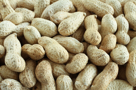 Food background - big peanuts in shells situated arbitrarily