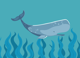 sperm whale ocean