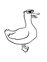 Sonnenbrille Comic Gans Cool 