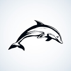 Dolphin. Vector drawing