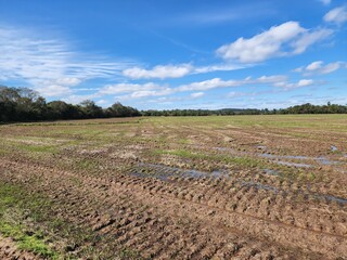 agricultura em terreno molhado