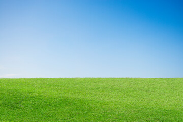 green field and blue sky