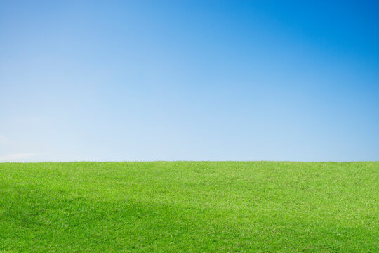 green field and blue sky © shahbaz