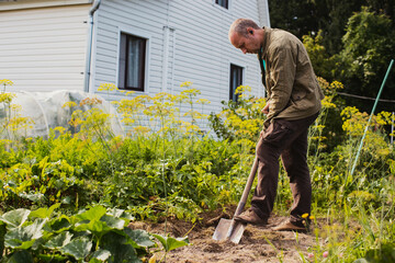 The farmer digs the soil in the vegetable garden. Preparing the soil for planting vegetables. Gardening concept. Agricultural work on the plantation