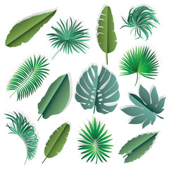 Set of paper palm leaves. Vector illustration.