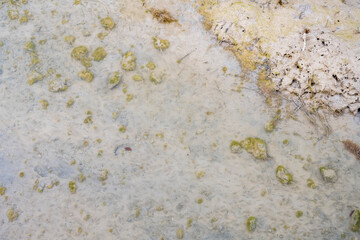 stone wall texture