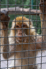 Der Blick sagt alles