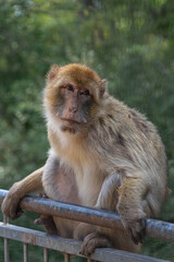 Der Blick sagt alles