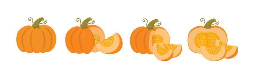 Pumpkin set whole, slice and halves on white background.  Autumn vegetables vector illustration. Organic food