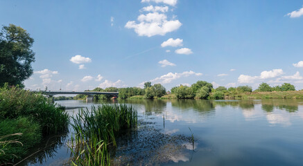 Panorama rzeki Odry w tle most lekko pochmurna pogoda, błękit nieba zieleń przy brzegu,  pora letnia, Odra w odcinku województwa Opolskiego - obrazy, fototapety, plakaty