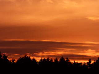 Fototapeta zachód słońca, niebo, chmury, horyzont obraz