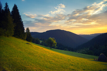 Beautiful summer rural landscape showing meadow, mountains, forest and blue sky with white clouds at dusk 
