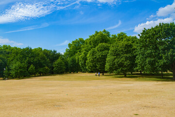 Hyde Park in London, summer - 2022