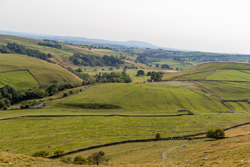 landscape with green hills