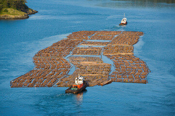 Tugboats navigate a timber raft through a narrow passage in Puget Sound.