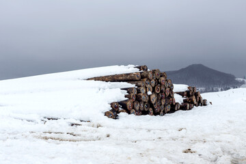 Harvesting firewood in the mountains on a winter, cloudy day (Greece)