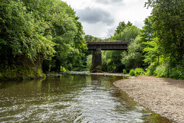 Fototapeta premium river with bridge and forest