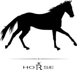 thoroughbred racehorse with jockey, black vector silhouette on white background