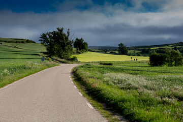 Dirt roads in Castile, in spring, passage of pilgrims on the Camino de Santiago