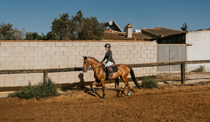 young woman in riding uniform jogging her horse around the riding arena