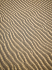 Fototapeta na wymiar Beautiful view to white sand dune texture in Lençóis Maranhenses