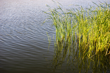 Recreation area in Tbilisi, Georgia