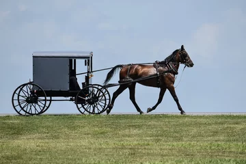 Rolgordijnen Amish horse and buggy © Jann Denlinger