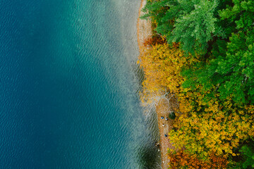 People walk along coast of blue water with fall foliage in New England