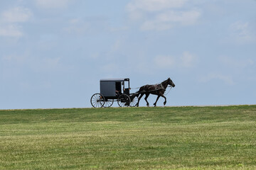 Amish buggy on the horizon