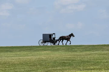 Foto auf Leinwand Amish buggy on the horizon © Jann Denlinger