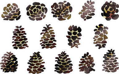 水彩画。水彩タッチの松ぼっくりベクターイラストセット。Watercolor. Set of vector illustrations of pine cones with watercolor touch.